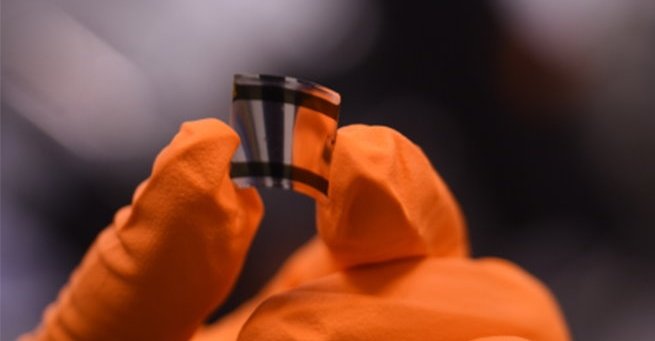 Photograph of the new curved X-ray detector